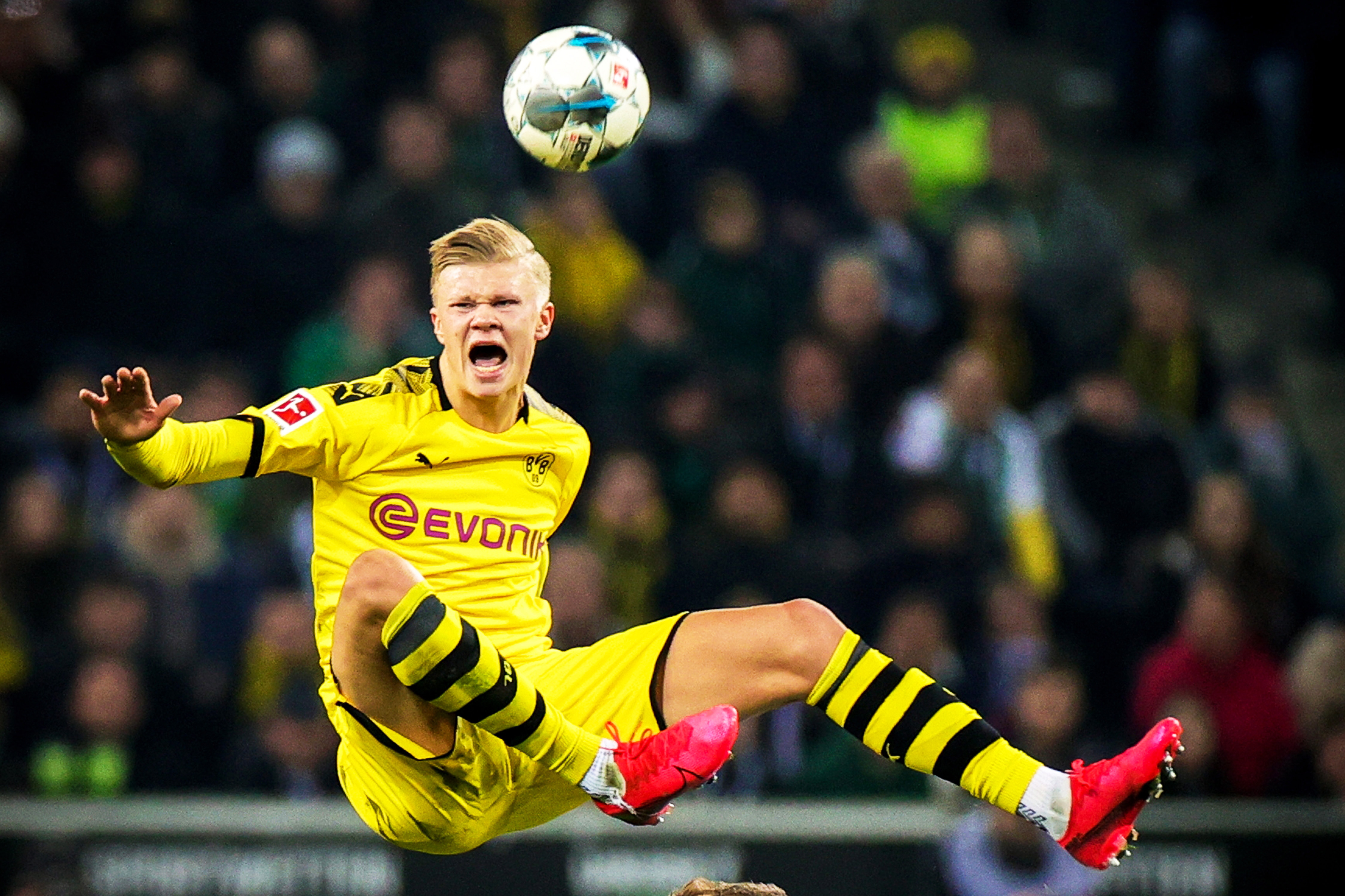 碳中和赌场认证数量翻倍